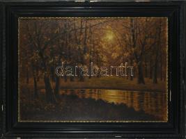 Markovich jelzéssel: Őszi erdő. Olaj, karton. Dekoratív, kissé sérült fakeretben. 50×70 cm