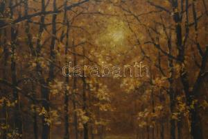 Markovich jelzéssel: Őszi erdő. Olaj, karton. Dekoratív, kissé sérült fakeretben. 50×70 cm