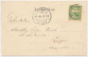 1908 Szapáryfalva, Szapárifalva, Tipari; Állami iskola. Naschitz László fényképész / school