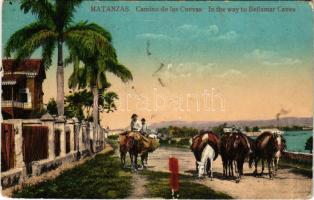 1912 Matanzas, Camino de las Cuevas / in the way to Bellamar Caves (glue mark)