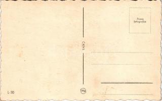 Ljubljana, Laibach; aerial view