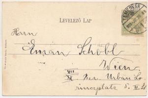 1905 Temesvár, Timisoara; Szent György tér, Temesvári Első Takarékpénztár, Első Magyar Biztosító Tár...