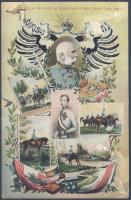 Viribus Unitis; Franz Joseph then and now (b)