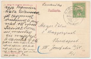 1908 Kisjenő, Chisineu-Cris; Főhercegi kastély a kegyúri templommal. Messzer Lipót kiadása / castle,...