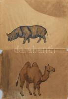 Bartha László (1908-1998): 9 db állatrajz akvarell, papír. Jelzés nélkül. Lap széle kissé sérült. 40...