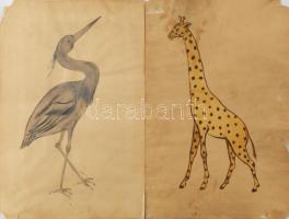 Bartha László (1908-1998): 9 db állatrajz akvarell, papír. Jelzés nélkül. Lap széle kissé sérült. 40...