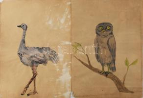 Bartha László (1908-1998): 9 db állatrajz akvarell, papír. Jelzés nélkül. Lap széle kissé sérült. 40...