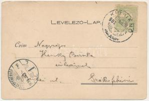 1906 Kisjenő, Chisineu-Cris; Fő tér, Kaufmann Manó és Társa üzlete és saját kiadása / main square, p...