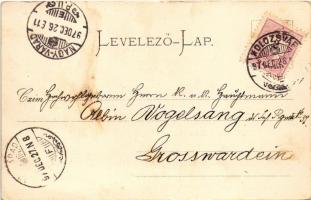 1897 Kolozsvár, Cluj; Fő tér, New York szálloda, Wolff J. gyógyszertára, üzletek. Gibbon Albert kiad...