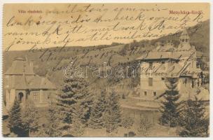 1911 Menyháza-fürdő, Monyásza, Baile Moneasa; villa részletek. Fái Károly kiadása / villa (ázott / wet damage)