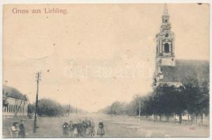 Liebling (Temes), utca, templom / street view, church (EB)