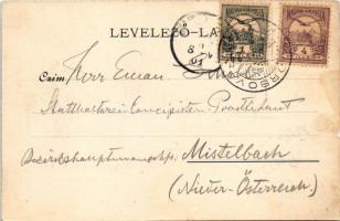 1901 Ada Kaleh, Török sziget Orsova alatt a Dunán. Mehemet Fehmi kiadása / Turkish island (kis szaka...