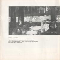 Cziráki Lajos festőművész kiállítása a győri Xántus János Múzeumban, 1982. november 21. és december ...