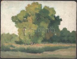 D. Némethy Miklós (1880-?): Napos táj. Olaj, karton. Jelzés nélkül. Proveniencia: A művész hagyatéka. Szélén kissé sérült. 25x32,5 cm.