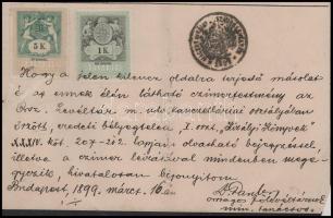 1899 A dénesfalvai Cziráky család címeres levelének (armalis) másolata, kézzel rajzolt címerrajzzal....