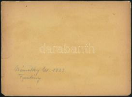 D. Némethy Miklós (1880-?): Utcarészlet, 1923. Olaj, karton. Jelzett a hátoldalán. Proveniencia: A m...