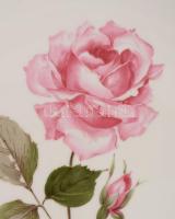 Arzberg rózsamintás asztalközép kínáló, aranyozott peremmel, jelzett, hibátlan, d: 30 cm