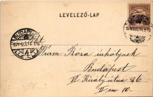 1901 Gyöngyös, Orczy-kastély. Bendl Károly kiadása