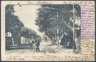 Alexandria Moharrembey street (EK)