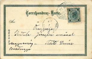 Karlovy Vary, Karlsbad; Sprudelcolonnade, Sprudel / mineral water spring. Ludwig Roth 405. Art Nouve...