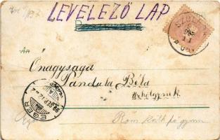 1899 Gaudeamus igitur. L. Franck / German studentica. litho (EM)