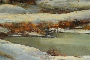 Gácsi Mihály (1926-1987): Január. Olaj, farost. Jelzett. Hátoldalán Képcsarnok Vállalat címkéjével. ...