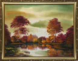 Bánkuti Gertrúd (1948-): Alkony. Olaj, farost. Jelezve jobbra lent. Hátoldalán autográf felirattal. Dekoratív, kissé sérült fakeretben. 60×80 cm.