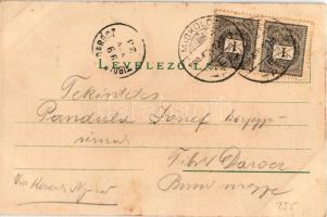 1899 Szívélyes újévi üdvözlet. No. 5193. / New Year greeting art postcard. litho