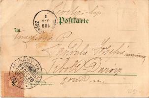 1899 Prosit Neujahr / újévi üdvözlet. No. 5120. / New Year greeting art postcard. Art Nouveau, flora...