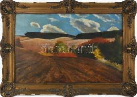 Paál J jelzéssel, Szinyei Merse Pál után: Őszi táj. Olaj, vászon. Dekoratív, sérült fakeretben. 40×60 cm.