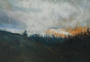 Jelzés nélkül: Hegyvidéki táj. Olaj, vászon. Dekoratív, kissé sérült fakeretben. 32×34 cm