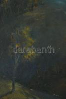 Jelzés nélkül: Hegyvidéki táj. Olaj, vászon. Dekoratív, kissé sérült fakeretben. 32×34 cm