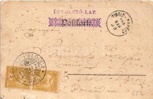 1900 Lady art postcard. litho + "MURÁNY - PELSŐCZ 191. SZ." vasúti mozgóposta bélyegző (b)