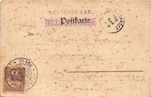 1900 Lady art postcard. litho + "MURÁNY - PELSŐCZ 191. SZ." vasúti mozgóposta bélyegző (ly...