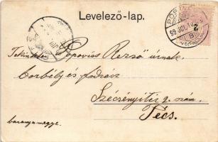 1899 Pöstyén, Piestany; látkép. A. Bernas kiadása / Totalansicht / general view (EB)