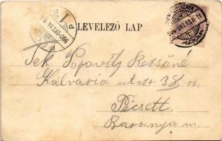 1900 Palics-fürdő, Palic; Korzó részlet. Kiadja Vig Zsigmond Sándor / promemade (fl)