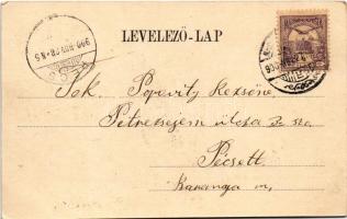 1900 Nagybecskerek, Zrenjanin, Veliki Beckerek; Ferenc József tér, üzletek. Grcsits J. kiadása / squ...