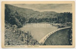Resicabánya, Resica, Resicza, Resita; Brázova völgyzáró gát. Weiss Adolf kiadása / Brazovaer Talsperre / Breazova dam (EK)