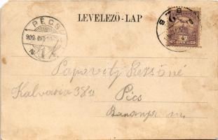 1900 Szabadka, Subotica; Honvéd emlékmű (Kaponyai csata emlékműve), Nemzeti Kaszinó, Bartos János Pi...