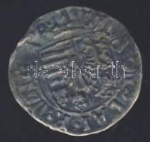 1498-1503KN. Denár Ag "II. Ulászló" T:3