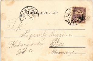 1900 Szeged, Tisza híd felső része. Schmidt Edgar kiadása + "SZEGED - ESZÉK 162. SZ." vasú...