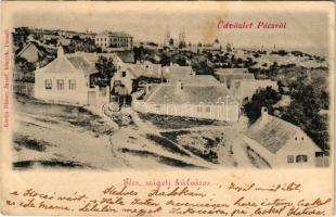 1900 Pécs, szigeti külváros, látkép. Blancz József kiadása (fl)