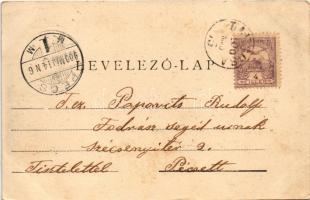 1900 Pécs, szigeti külváros, látkép. Blancz József kiadása (fl)