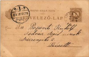 1900 Budapest, Ezredéves Országos Kiállítás, Jobb part, Királyi vár, Lánchíd, gőzhajók. 2 Kr barna G...