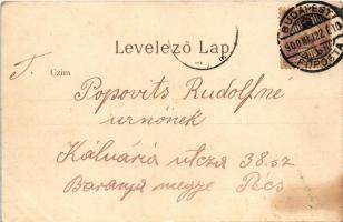 1900 Budapest V. Új országház, gőzhajók. Ganz Antal 301. litho (EK)