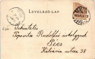 1899 Budapest IX. Központi Vásárcsarnok, Nádor szálloda, gyógyszertár. Divald Károly 19. sz. (fl)