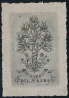 Végh Gusztáv (1889-1973): Ex libris Dr. E. Vajda. Rézkarc, papír, jelzett a karcon. 8,5x5,5cm.