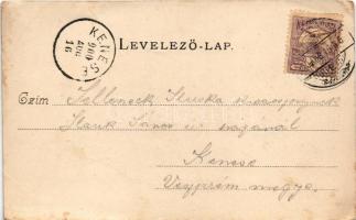 1900 Esztergom, látkép. Divald Károly 196. sz. (EK)