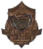 Szovjetunió 1980. "25 éves a Varsói Szerződés" aranyozott, zománcozott fém jelvény (48x41m...