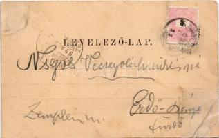 1899 Nagykároly, Carei; Főgimnázium, Kölcsey szobor. Huszty Zoltán fényképe után Eigner Simon kiadás...